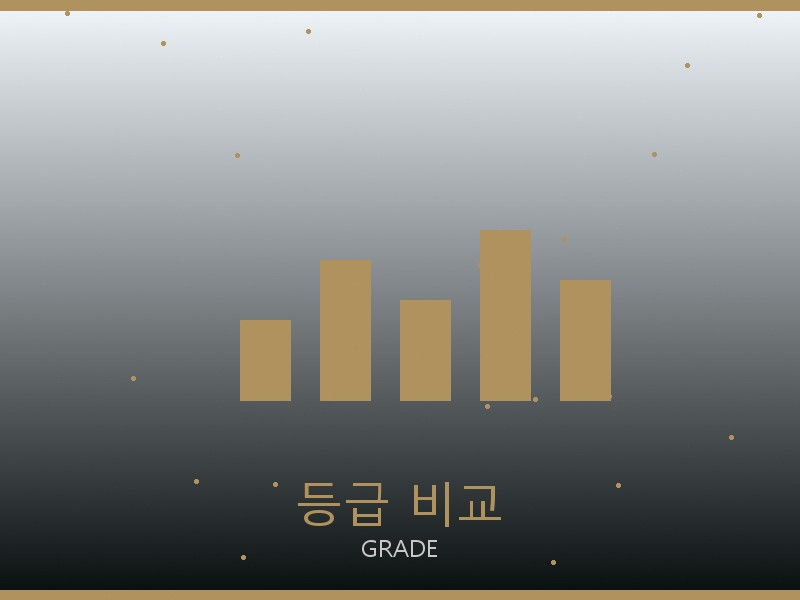 구찌 틴 루루 S급 등급 기준 비교